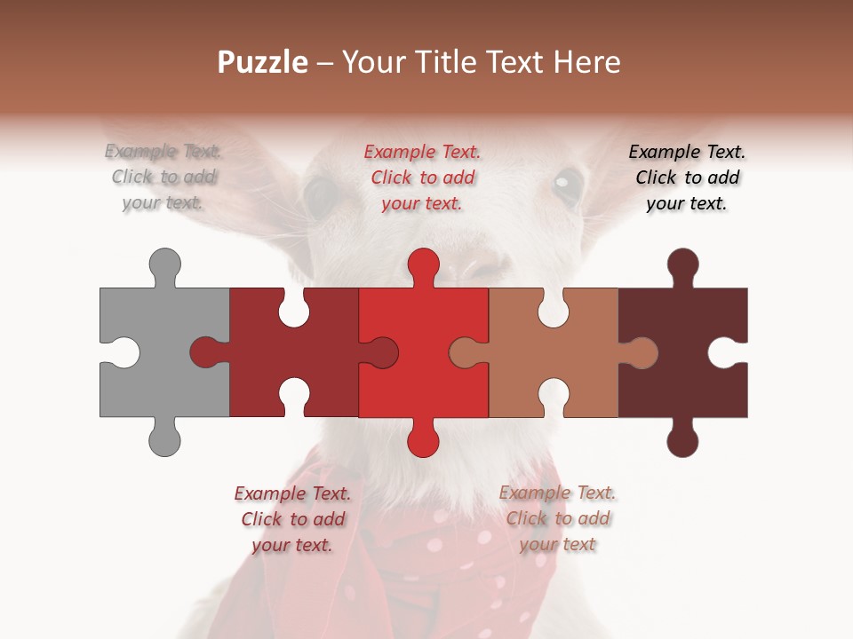 Milk Agriculture Studio Shot PowerPoint Template