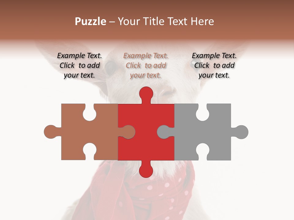 Milk Agriculture Studio Shot PowerPoint Template