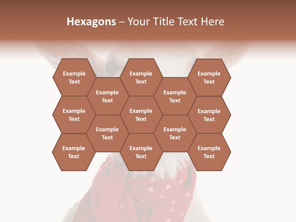 Milk Agriculture Studio Shot PowerPoint Template