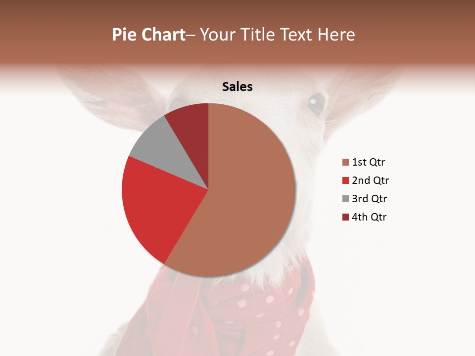 Milk Agriculture Studio Shot PowerPoint Template