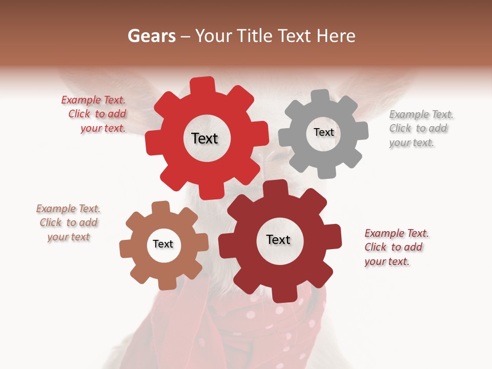 Milk Agriculture Studio Shot PowerPoint Template