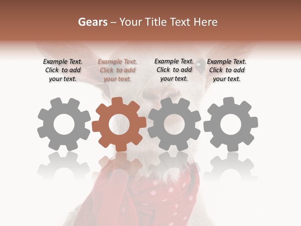 Milk Agriculture Studio Shot PowerPoint Template