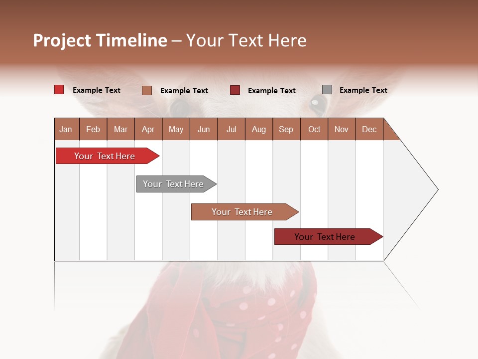 Milk Agriculture Studio Shot PowerPoint Template