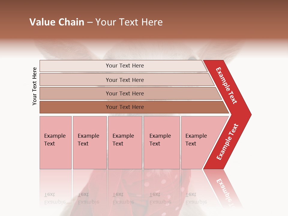 Milk Agriculture Studio Shot PowerPoint Template