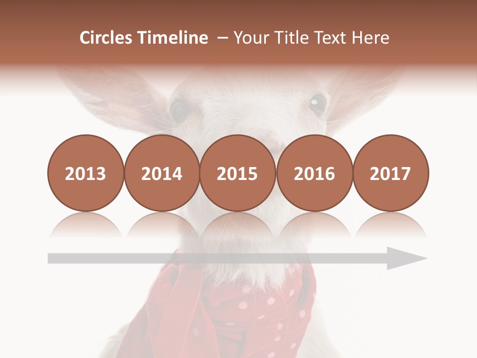 Milk Agriculture Studio Shot PowerPoint Template