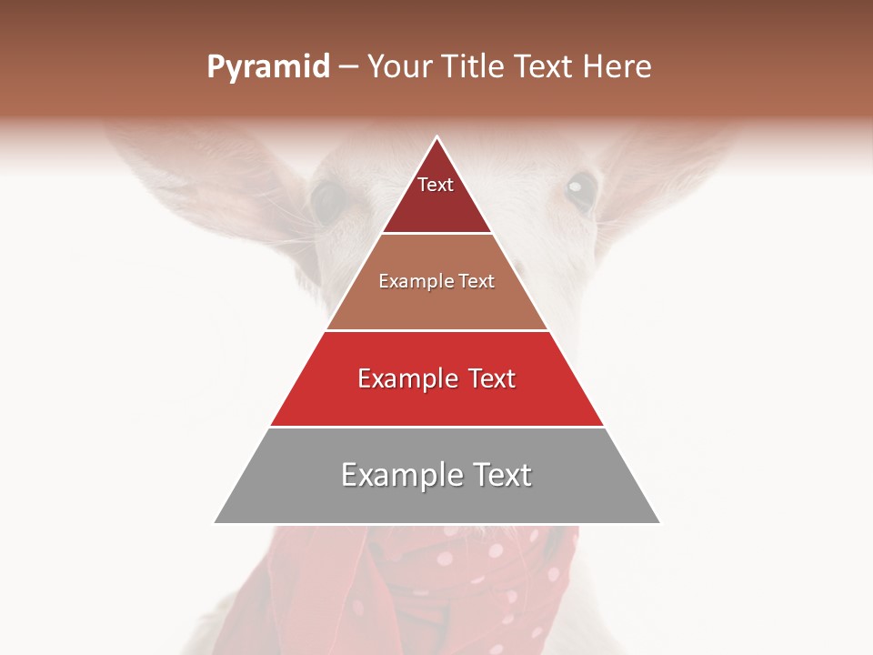 Milk Agriculture Studio Shot PowerPoint Template