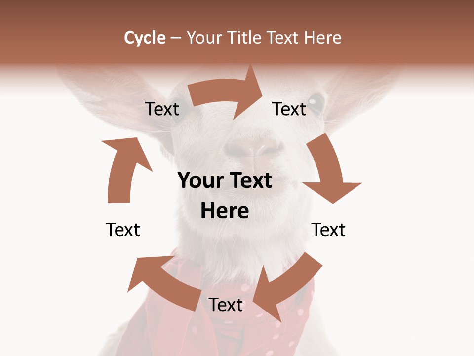 Milk Agriculture Studio Shot PowerPoint Template
