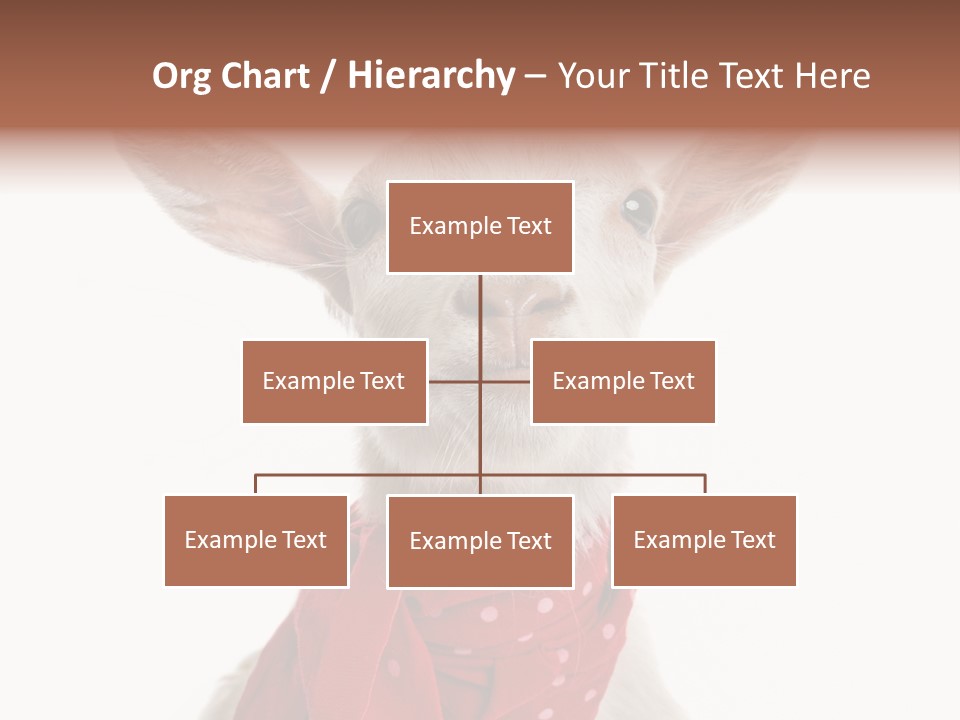 Milk Agriculture Studio Shot PowerPoint Template