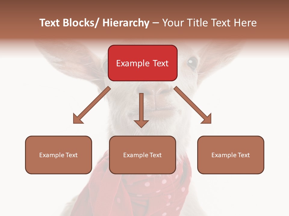 Milk Agriculture Studio Shot PowerPoint Template