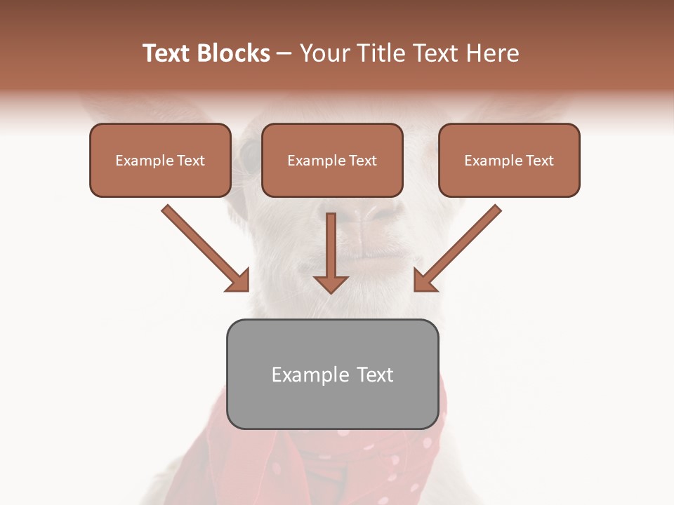 Milk Agriculture Studio Shot PowerPoint Template