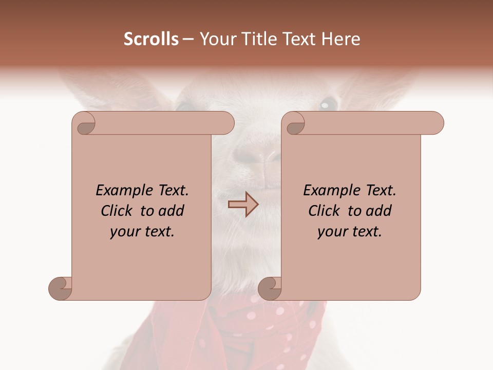 Milk Agriculture Studio Shot PowerPoint Template