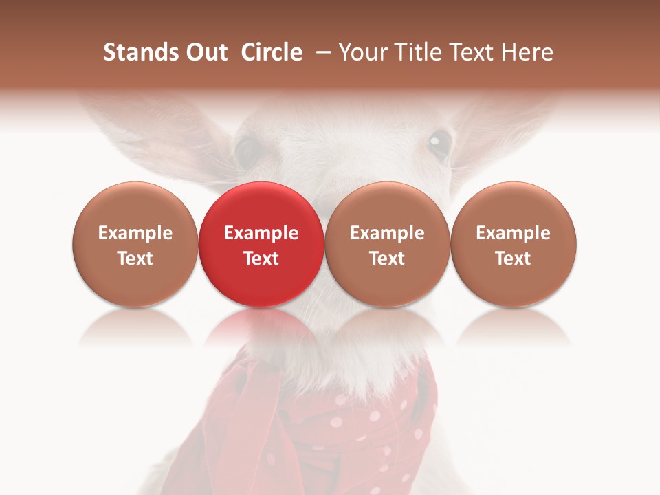 Milk Agriculture Studio Shot PowerPoint Template