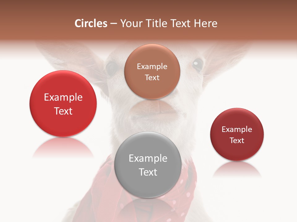 Milk Agriculture Studio Shot PowerPoint Template