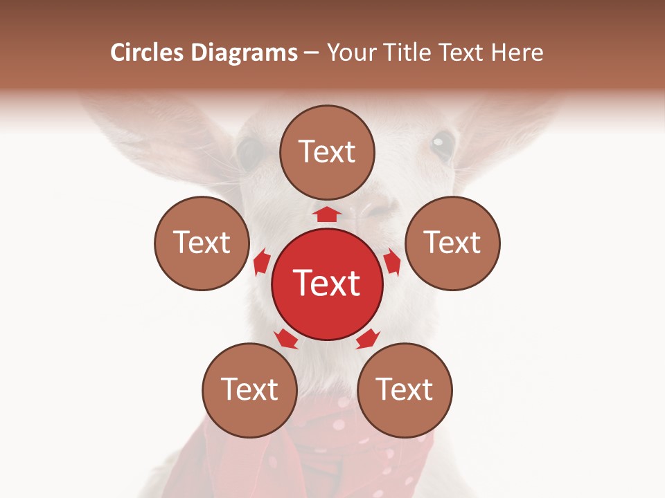 Milk Agriculture Studio Shot PowerPoint Template