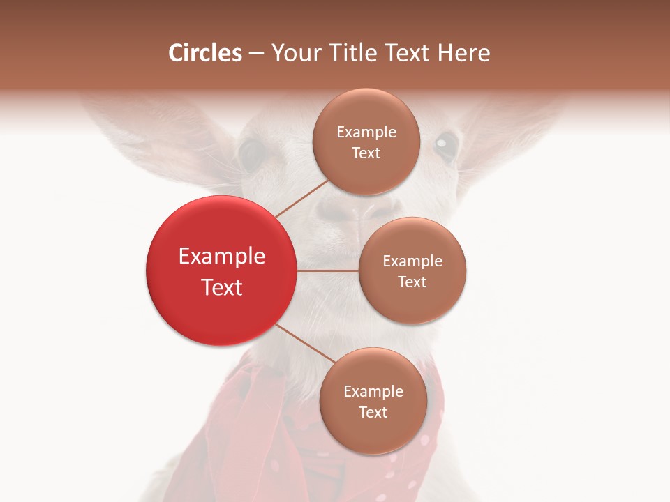 Milk Agriculture Studio Shot PowerPoint Template