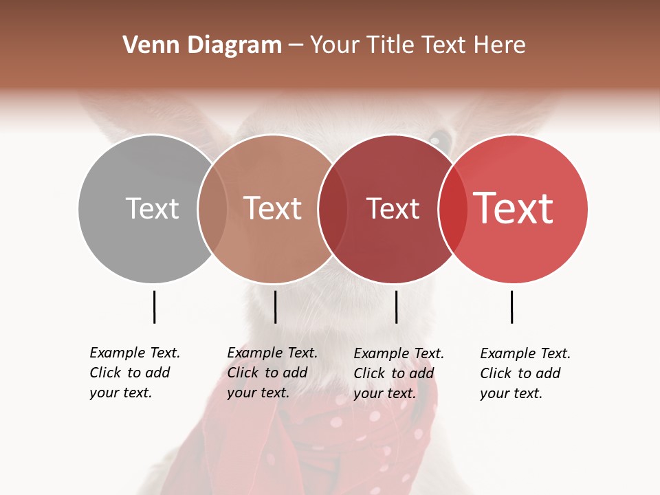 Milk Agriculture Studio Shot PowerPoint Template