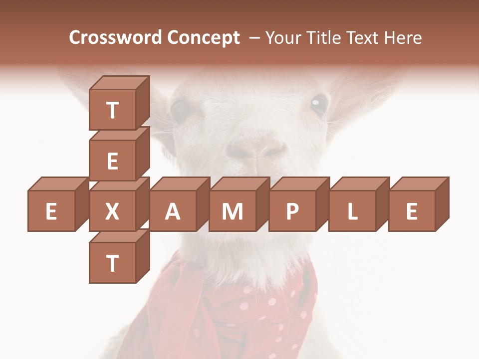 Milk Agriculture Studio Shot PowerPoint Template