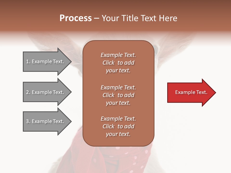 Milk Agriculture Studio Shot PowerPoint Template