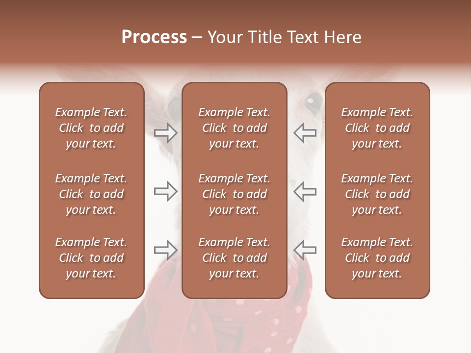Milk Agriculture Studio Shot PowerPoint Template