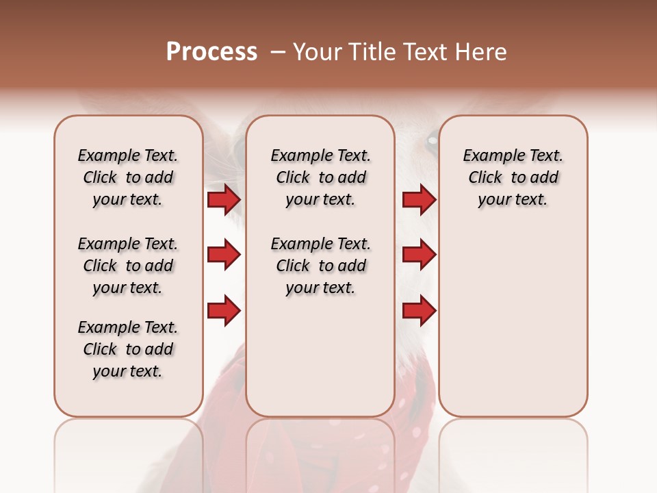 Milk Agriculture Studio Shot PowerPoint Template