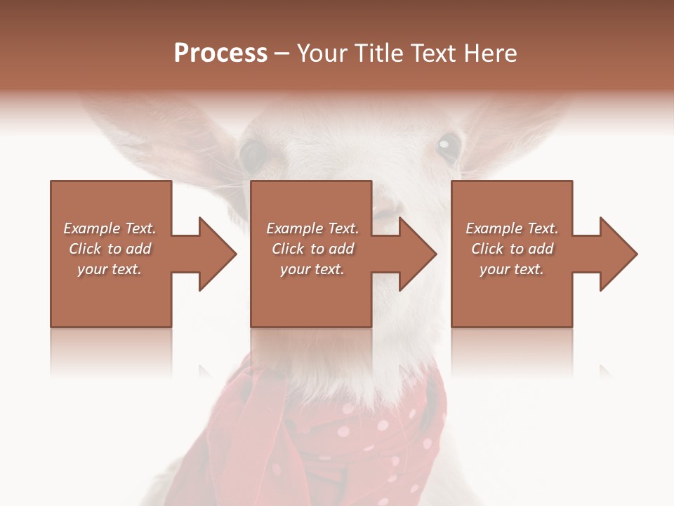 Milk Agriculture Studio Shot PowerPoint Template