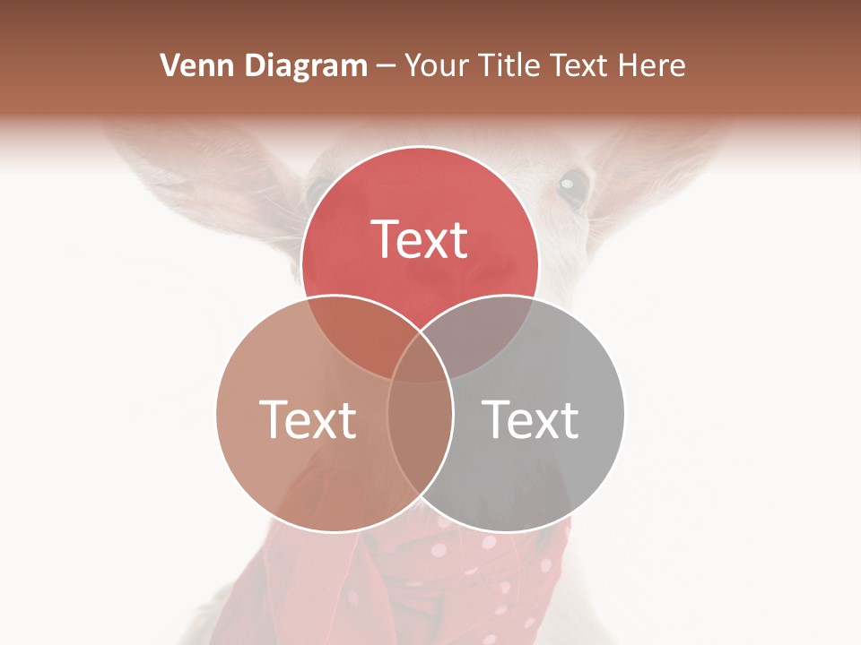 Milk Agriculture Studio Shot PowerPoint Template