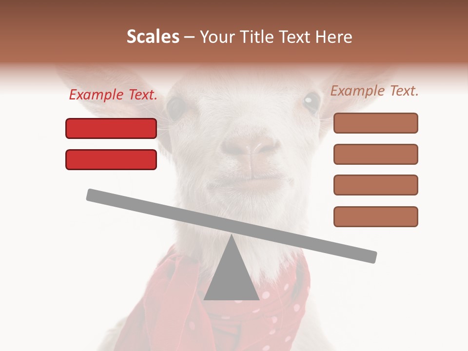 Milk Agriculture Studio Shot PowerPoint Template