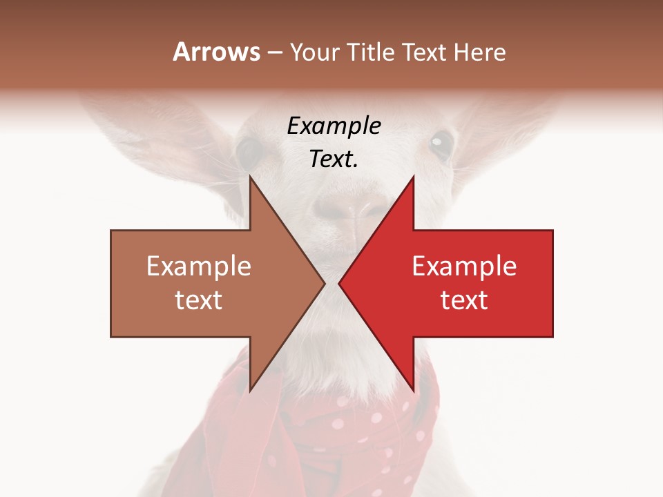 Milk Agriculture Studio Shot PowerPoint Template