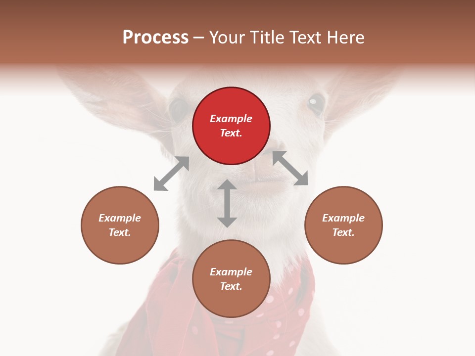 Milk Agriculture Studio Shot PowerPoint Template