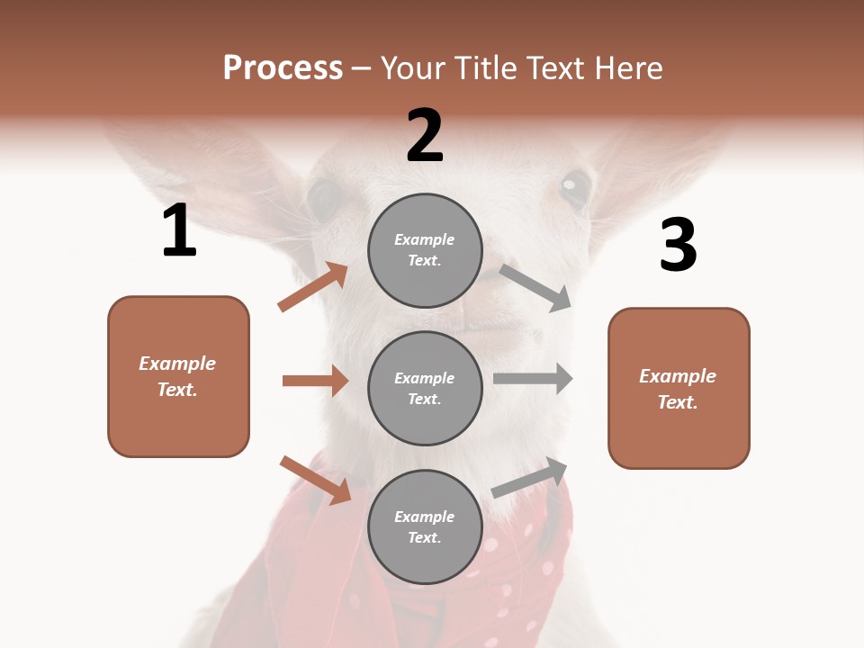 Milk Agriculture Studio Shot PowerPoint Template
