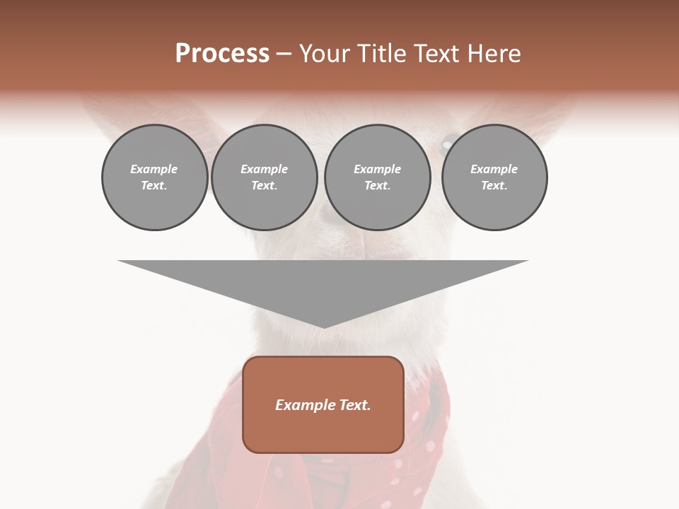 Milk Agriculture Studio Shot PowerPoint Template