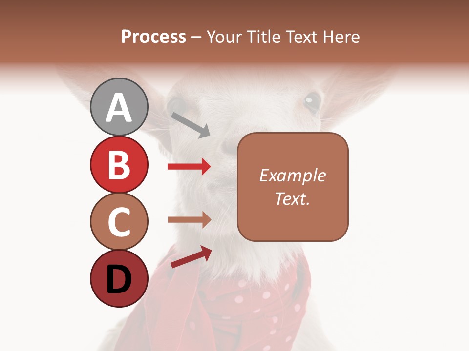 Milk Agriculture Studio Shot PowerPoint Template