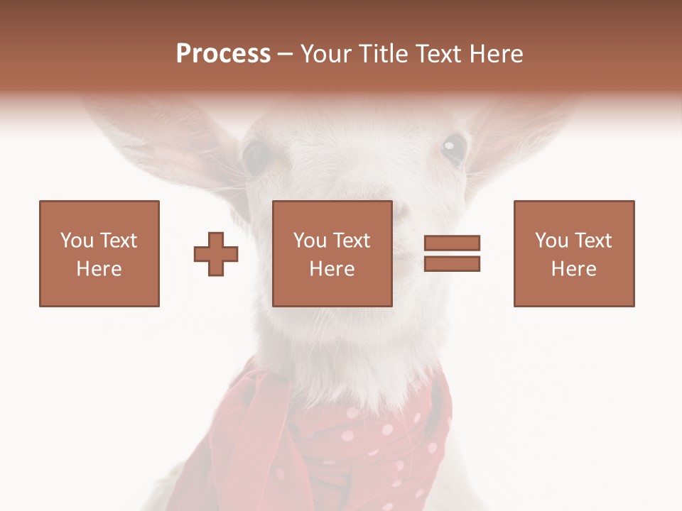 Milk Agriculture Studio Shot PowerPoint Template