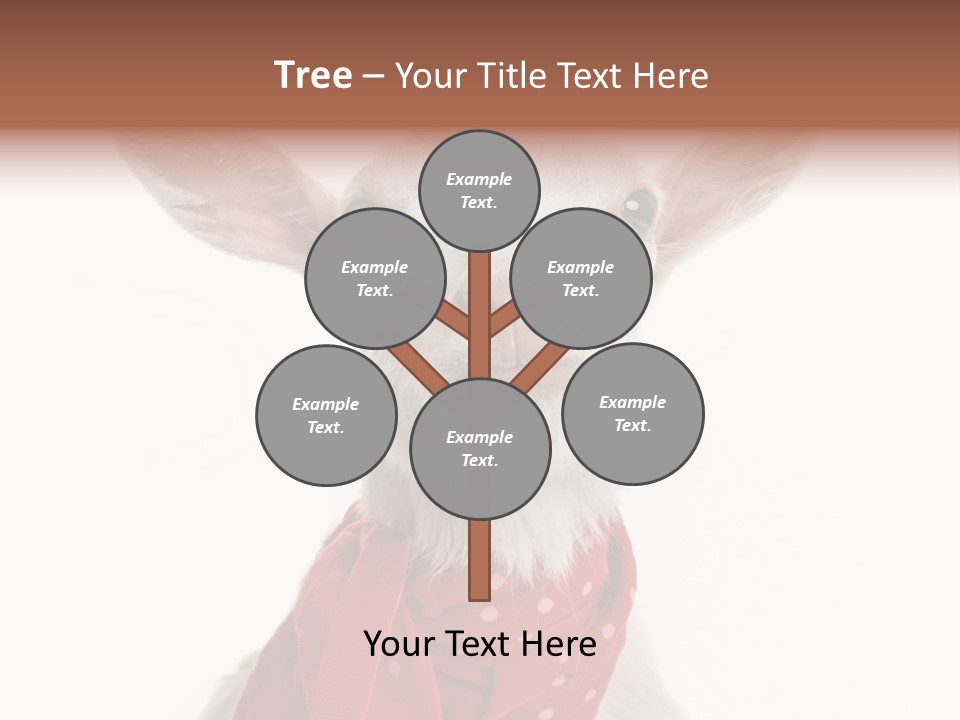 Milk Agriculture Studio Shot PowerPoint Template