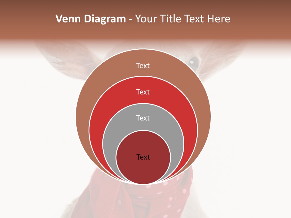Milk Agriculture Studio Shot PowerPoint Template