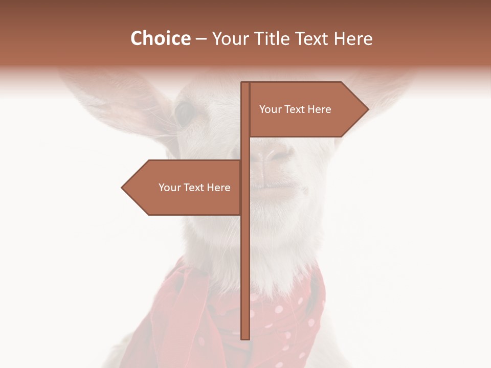 Milk Agriculture Studio Shot PowerPoint Template