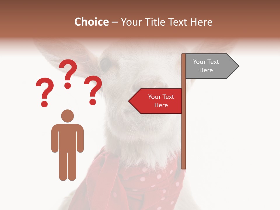 Milk Agriculture Studio Shot PowerPoint Template