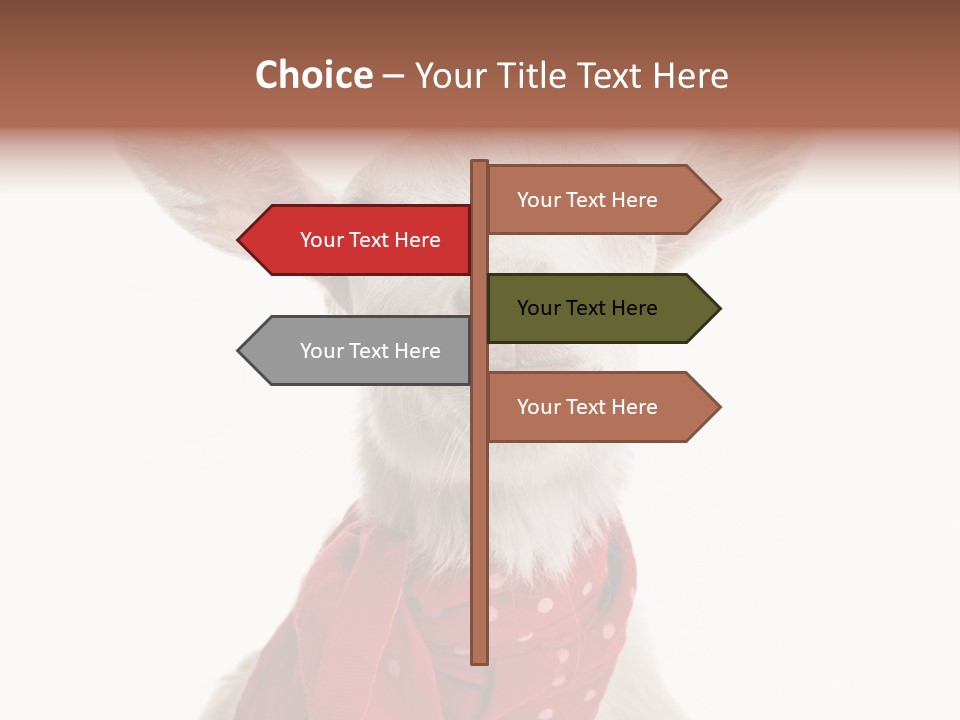Milk Agriculture Studio Shot PowerPoint Template