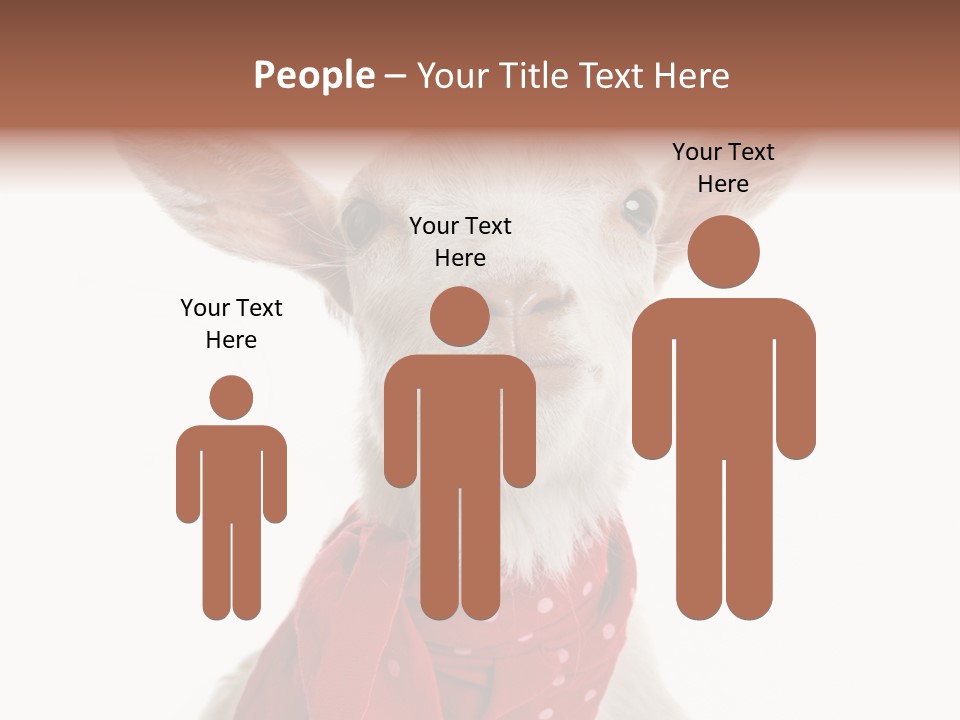 Milk Agriculture Studio Shot PowerPoint Template