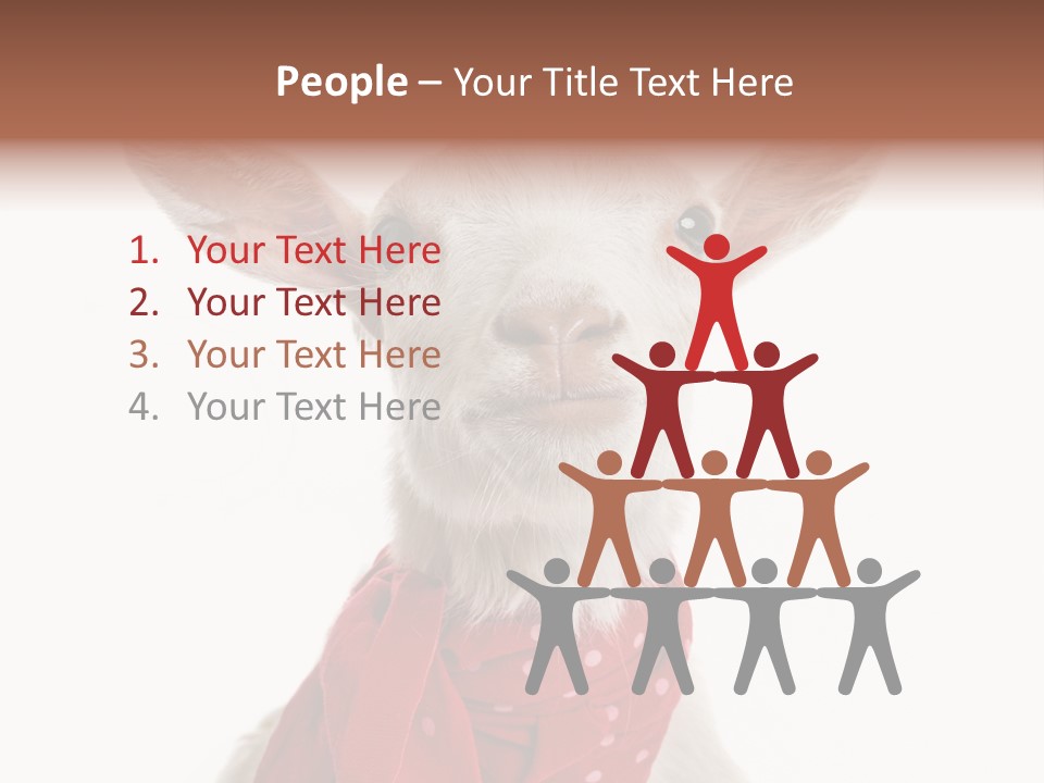 Milk Agriculture Studio Shot PowerPoint Template