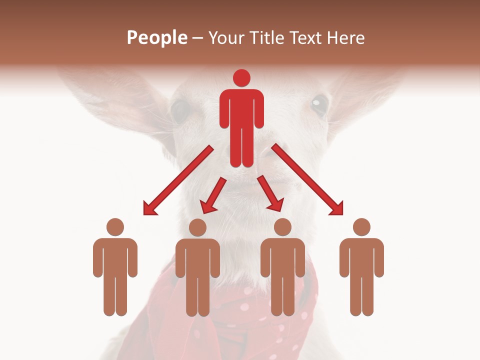 Milk Agriculture Studio Shot PowerPoint Template