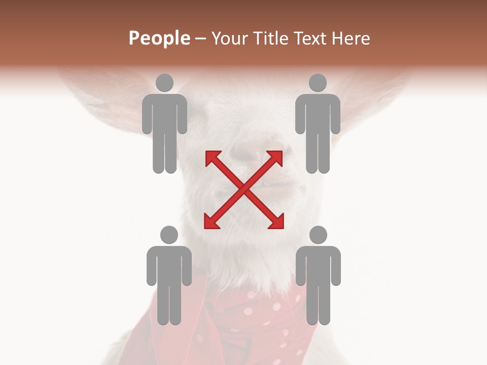 Milk Agriculture Studio Shot PowerPoint Template