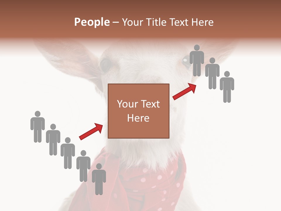 Milk Agriculture Studio Shot PowerPoint Template