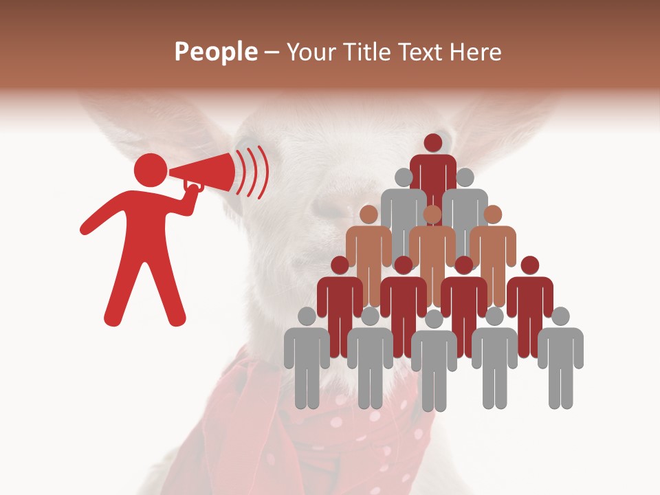 Milk Agriculture Studio Shot PowerPoint Template