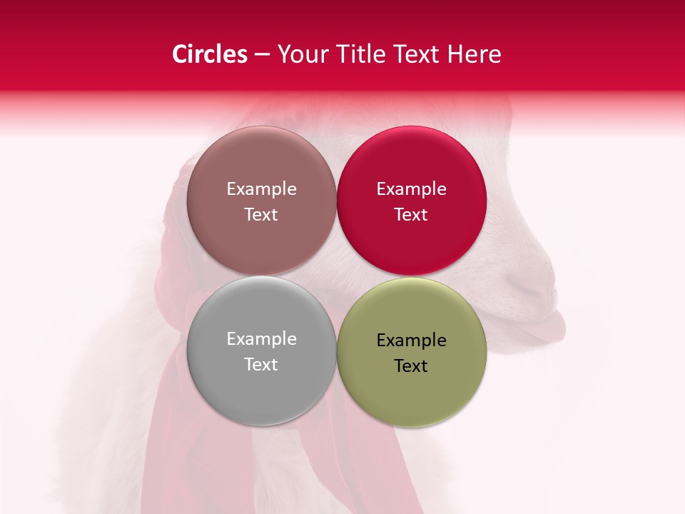 Milk Season One Animal PowerPoint Template