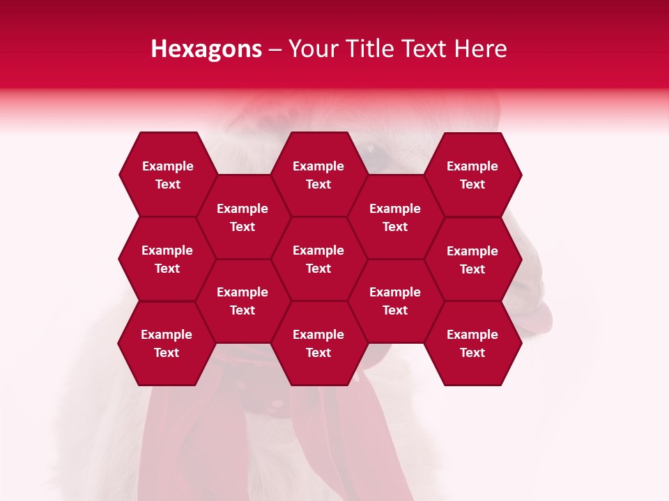 Milk Season One Animal PowerPoint Template