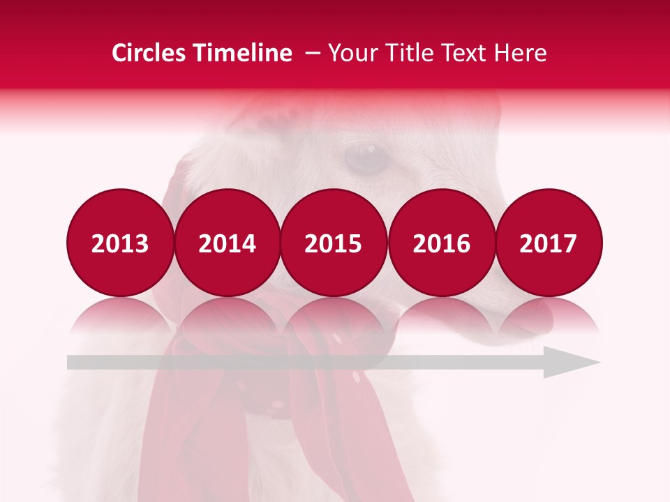 Milk Season One Animal PowerPoint Template