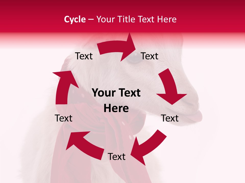 Milk Season One Animal PowerPoint Template