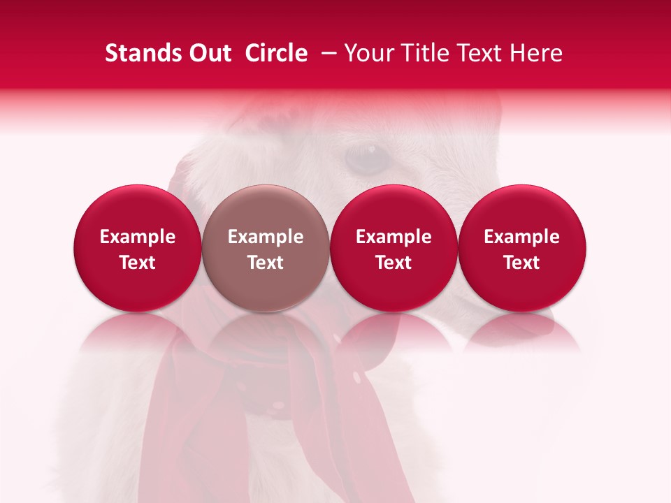 Milk Season One Animal PowerPoint Template