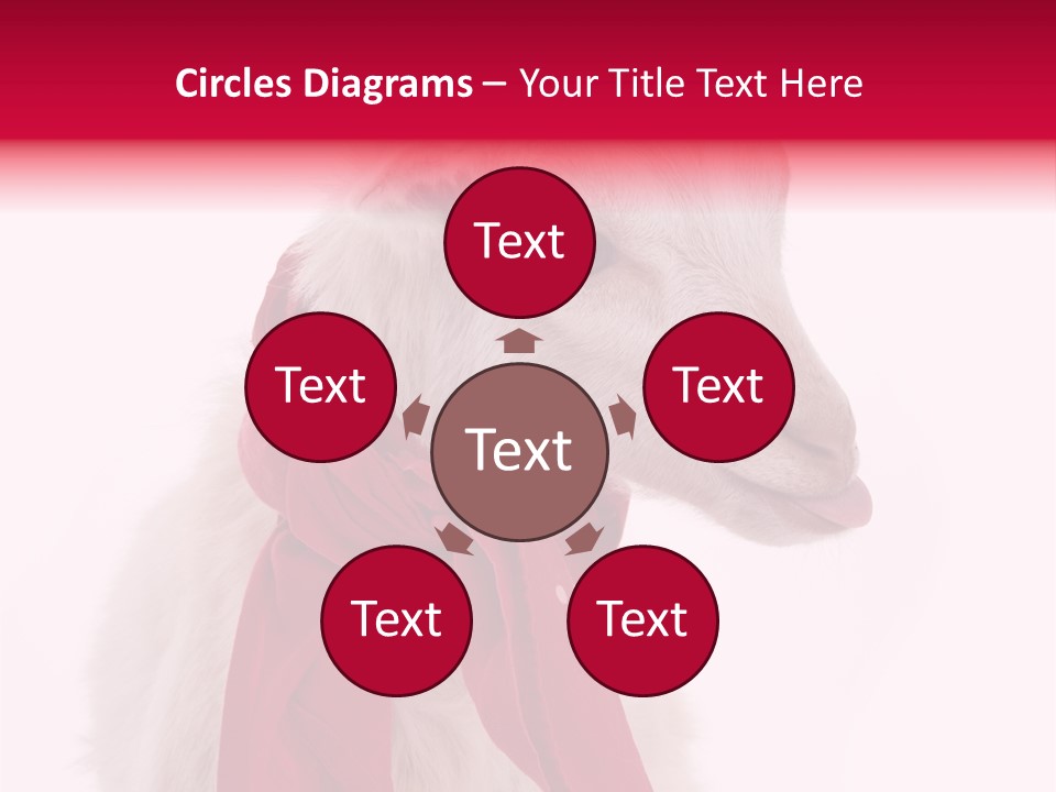 Milk Season One Animal PowerPoint Template